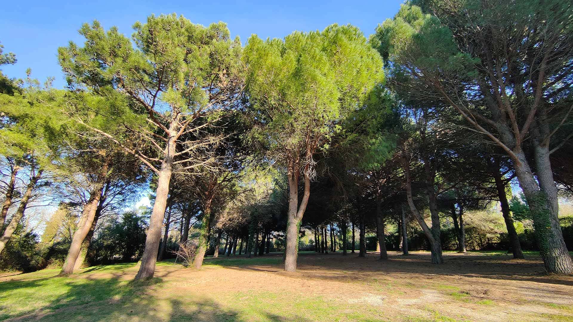 visuel-Villeneuve-les-avignon-4_Compress