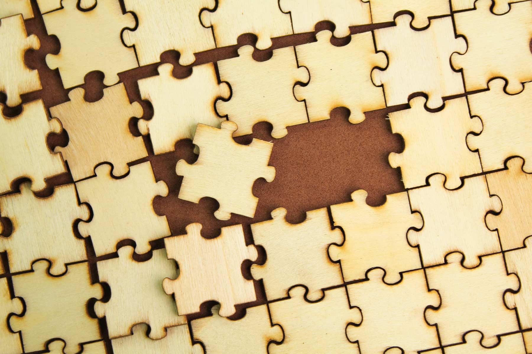 puzzle représentant l'organisation de la MSP de Villeneuve Les Angles